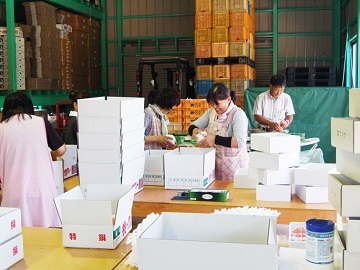 株式会社菱沼農園-7