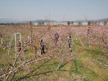 株式会社菱沼農園-2