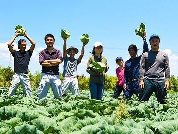 株式会社HS FARM-top