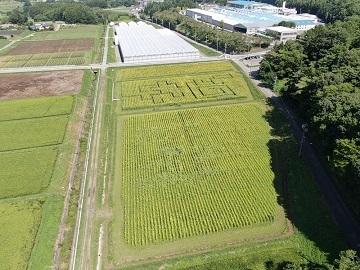 株式会社八ヶ岳みらい菜園-4