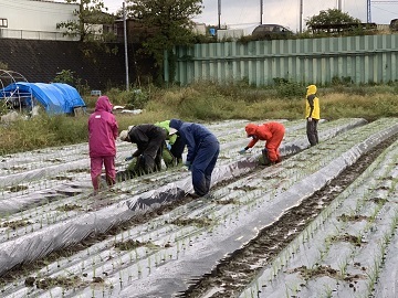 株式会社畑耕農園-2