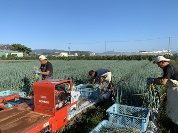 株式会社畑耕農園-3