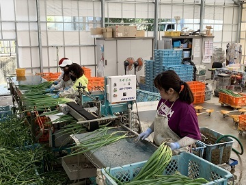 株式会社畑耕農園-4