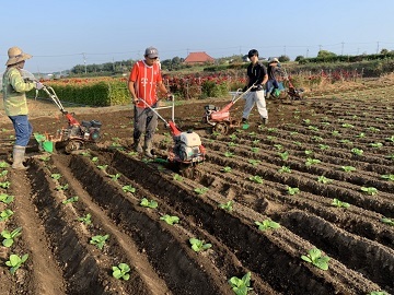 農業生産法人 有限会社菅井ファーム-3