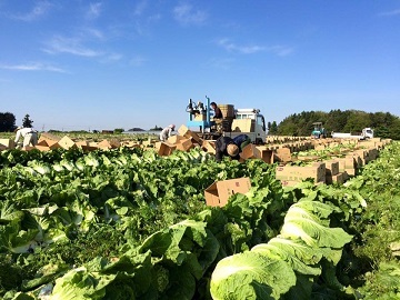 農業生産法人 有限会社菅井ファーム-8