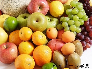 山口県宇部市×青果/法人【32950】-2