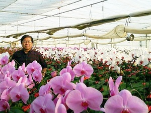 農業における利益の実態 花卉栽培は儲かるのか 農家 農業求人サイト あぐりナビ