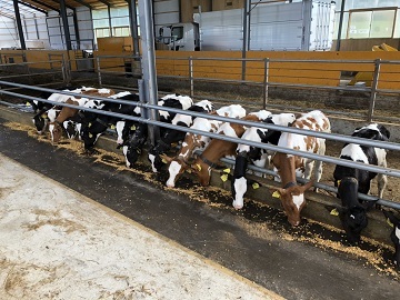 北海道弟子屈町×酪農/個人【33071】-1