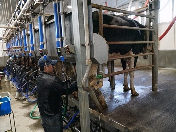 北海道弟子屈町×酪農/個人【33071】-2