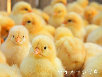 たつの市×営業・生産/法人【33192】-top