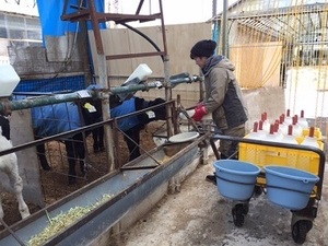 北海道北斗市×肉牛・酪農/法人【33221】-top