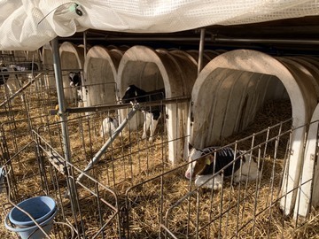 北海道小清水町×酪農/法人【33238】-1
