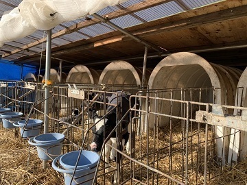 北海道小清水町×酪農/法人【33238】-2