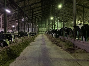 北海道小清水町×酪農/法人【33238】-3