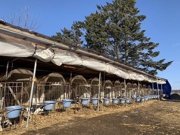 北海道小清水町×酪農/法人【33238】-4