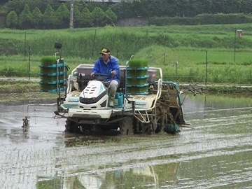 株式会社前川農産-2