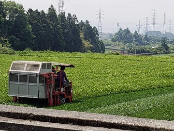 大富士製茶有限会社-3