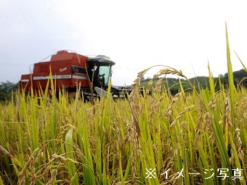 茨城県東海村×稲作・畑作/法人【33410】-2