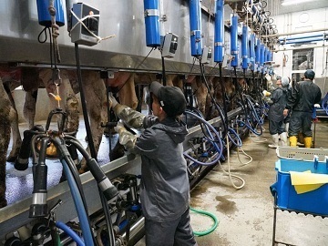 北海道弟子屈町×酪農/個人【33071】-5