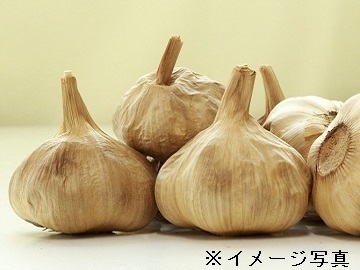 中野市×野菜/法人【33681】-top