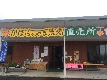 有限会社かぼちゃやま農場-top