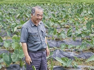 SFV生産農場(建石農園)-top
