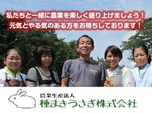 種まきうさぎ株式会社-top