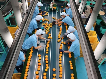 JAならけん西吉野柿選果場-5