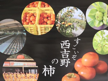 JAならけん西吉野柿選果場-8