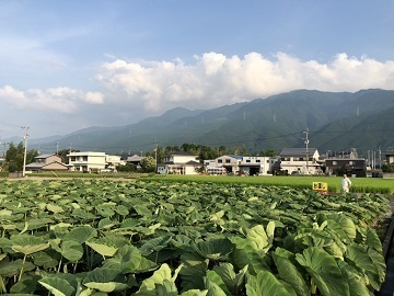 脇農園/脇農機-6