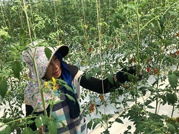 株式会社一農-3