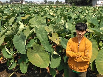 市川農園-top