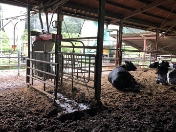 合同会社川上ファーム-4