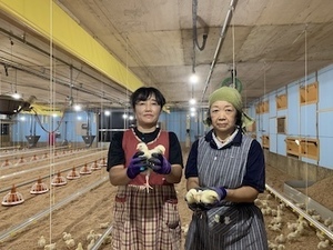 株式会社鶏躍蔵-top