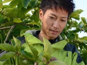 マルモリファーム-top