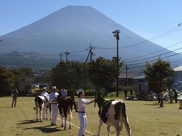山梨県富士河口湖町×酪農/法人【3139】-top