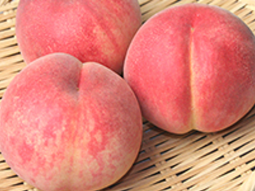 株式会社ジェイラップ-2