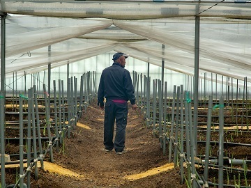 株式会社M’s green-1