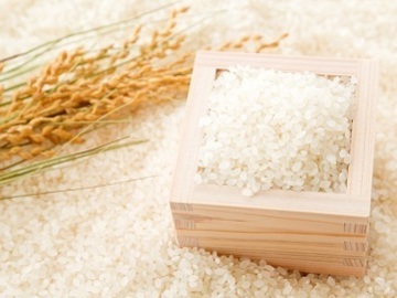 株式会社M’s green-3