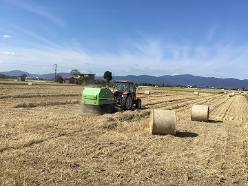 株式会社M’s green-6