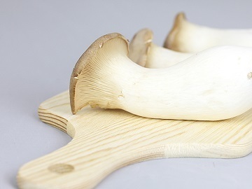 有限会社エムプランテイション-6