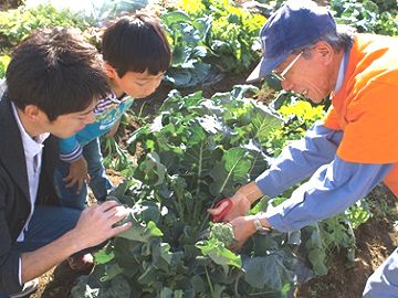 株式会社アグリメディア(シェア畑菜園アドバイザー)-top