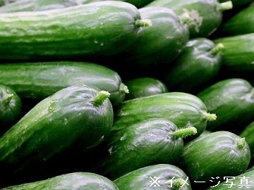 熊本県宇土市×野菜・果樹/法人【0226】-4