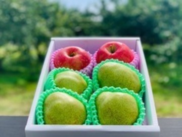 株式会社アンスリーファーム-3