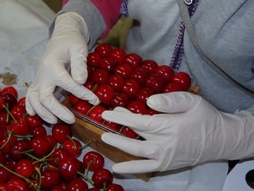 株式会社アンスリーファーム-4