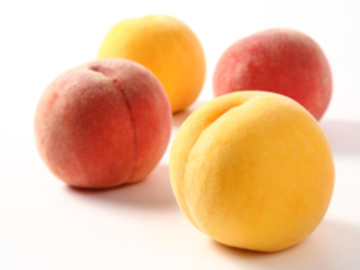 株式会社アンスリーファーム-5