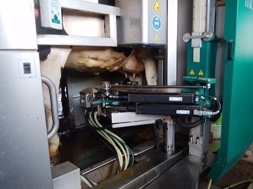 有限会社北の大地-2