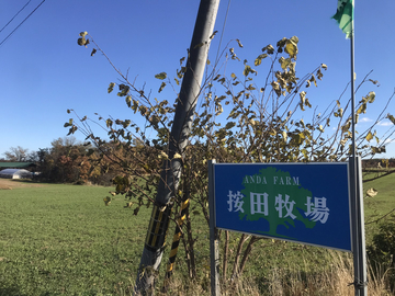 按田牧場-top