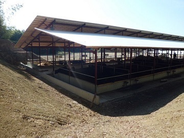 株式会社神戸井相田牧場-3