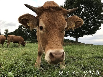 北海道更別村×酪農/法人【34473】-top